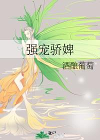 ǿ轾