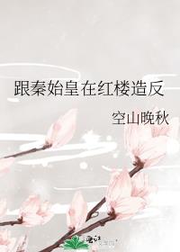 ʼں¥췴
