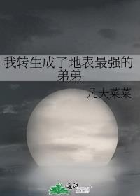 ��ת�����˵ر���ǿ�ĵܵ�