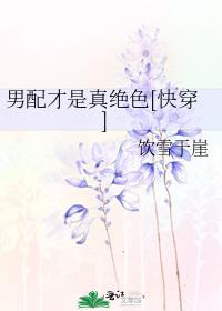 ����������ɫ[�촩]