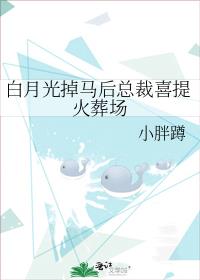 ���¹�������ܲ�ϲ����᳡