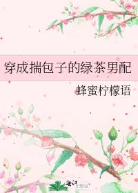 ���ɴ����ӵ��̲�����