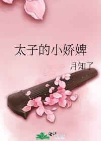 ̫�ӵ�С���