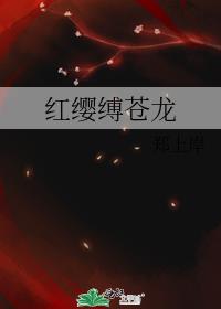 ��ӧ������