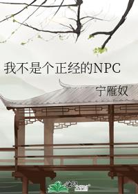 �Ҳ��Ǹ�������NPC