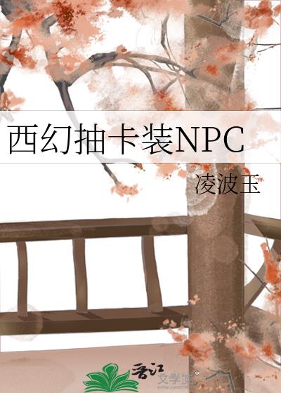 ���ó鿨װNPC