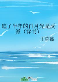 ׷�˰���İ��¹��Ƿ��ɣ����飩