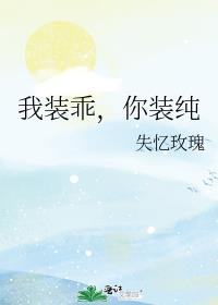 ��װ�ԣ���װ��