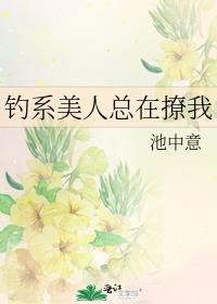 ��ϵ������������