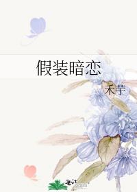 ��װ����