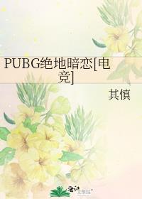 PUBG���ذ���[�羺]