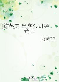 [��Ӣ��]�ڿ͹�˾��Ӫ��