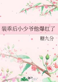 װ�Ժ�С��ү��������