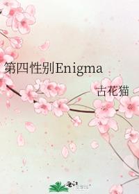 �����Ա�Enigma