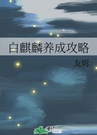 ���������ɹ���